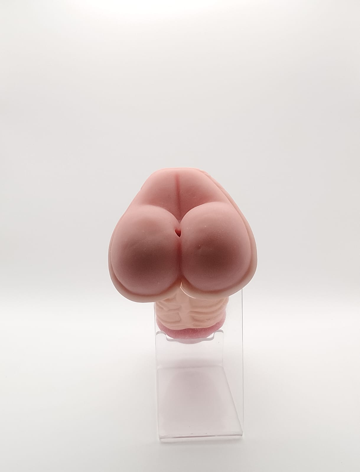 Fuck My Ass