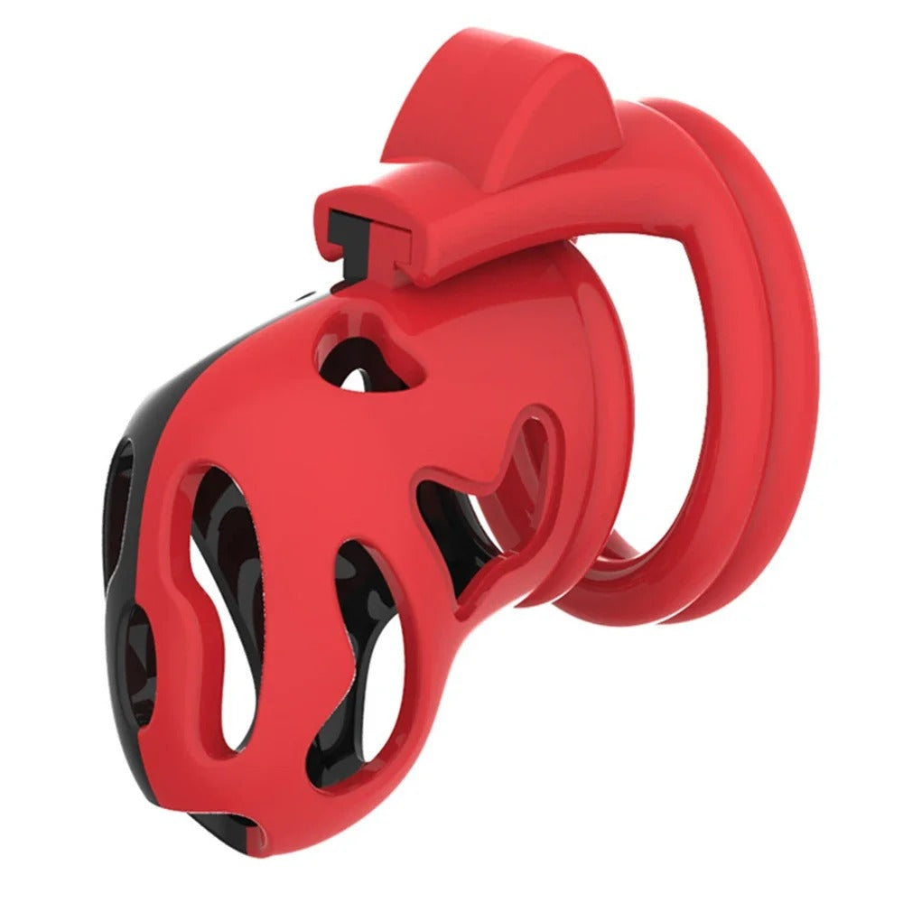 Jaula de castidad con llave