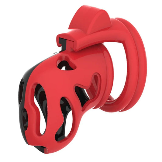 Jaula de castidad con llave