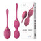 Shrinking Ball Pair of Kegel Lilo LL-A2124