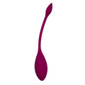 Silicon Vibrating Bullet with App - vue 2