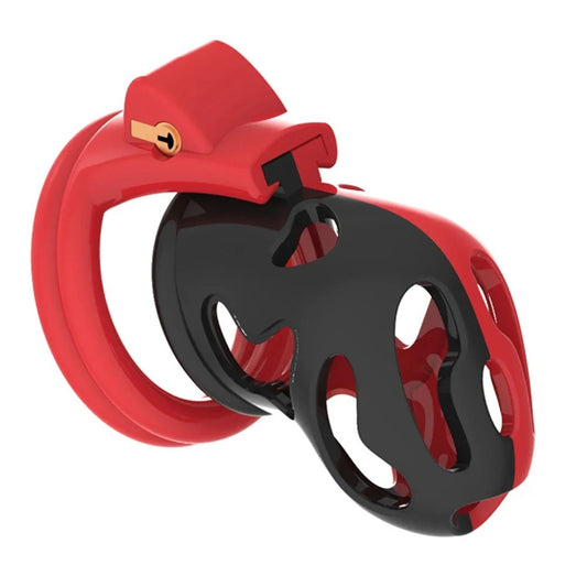 Jaula de castidad con llave